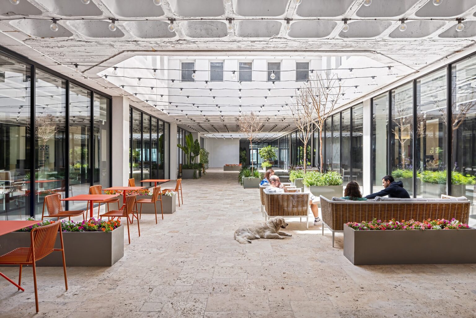 עיצוב פנים מוקפד עם דגש על נוחות ופונקציונליות במשרדי Wix