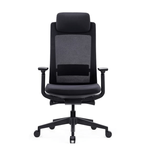 כסא אורטופדי מעוצב Elbit Plus