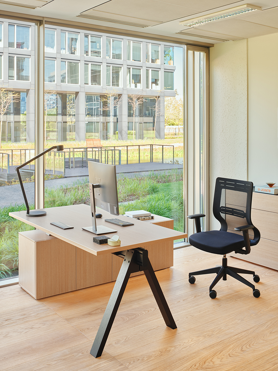 ⁦כיסא משרדי - Tanya⁩ – תמונה ⁦15⁩