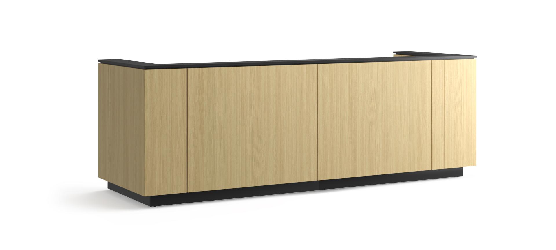 דלפק קבלה ICE