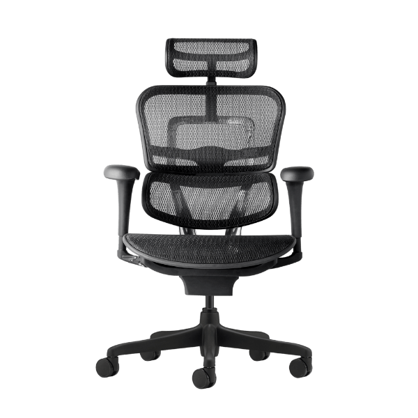 כסא אורטופדי למשרד Ergohuman Project